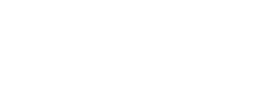 Bidtheatre white