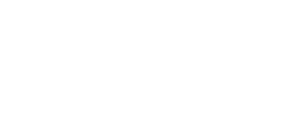 bonnier_news_logo_vit_2_rad