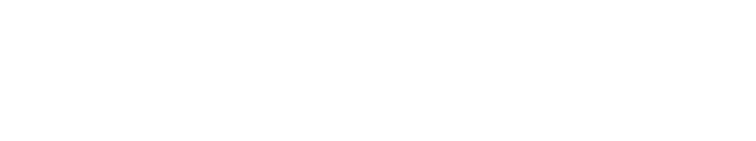 theTradeDesk-LogoLockup-WHITE_– full screen-1